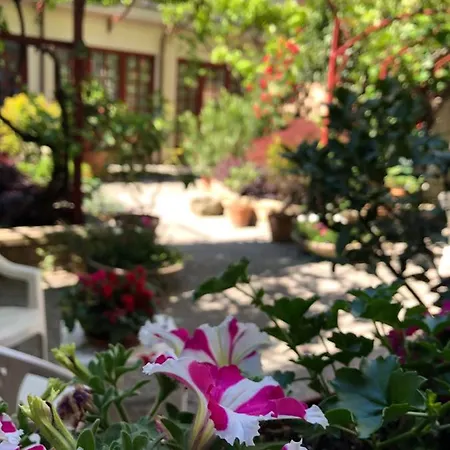 Casa de hóspedes Casa Ganci