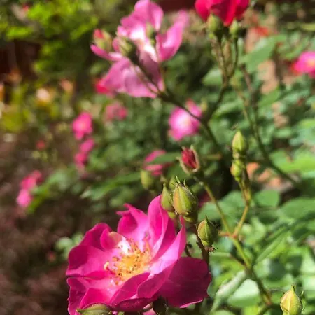 Casa Ganci 3* トリノ