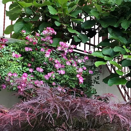 Casa Ganci 3* トリノ