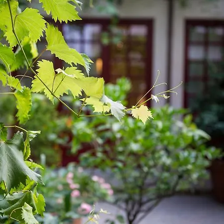 Casa Ganci ゲストハウス