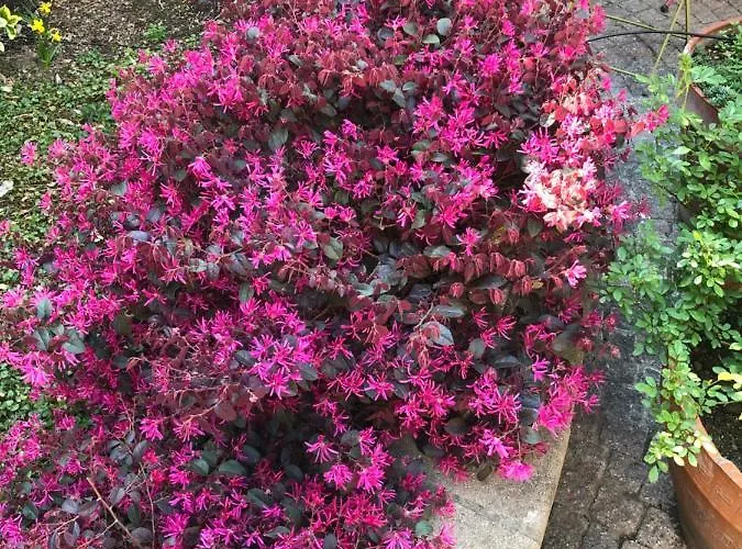 Casa Ganci 3* تورينو