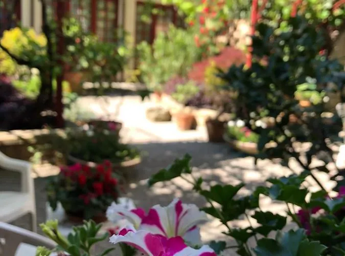 بيت ضيافة Casa Ganci